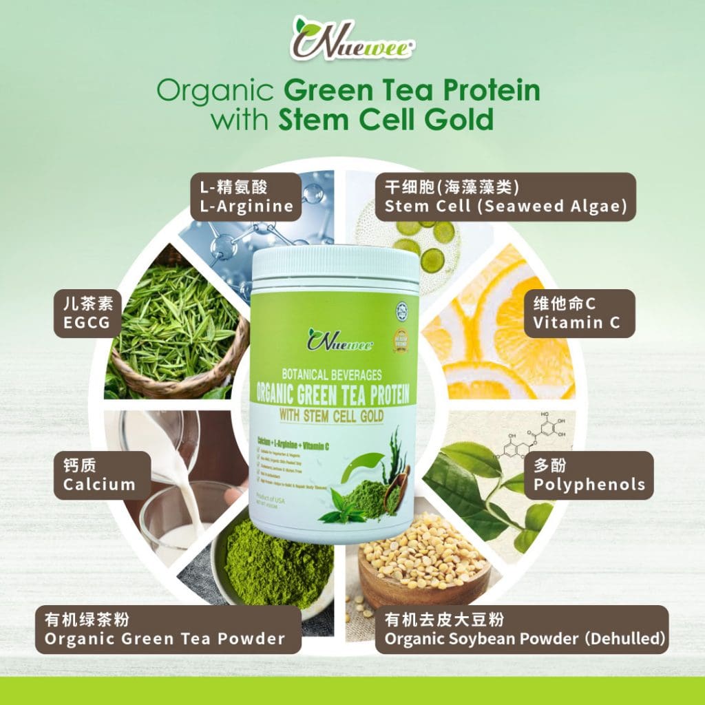 Soy Protein Diet Skin Aging Inflammation Green Tea Protein