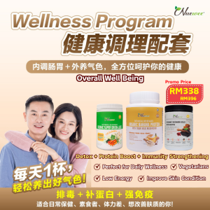 Wellness Program